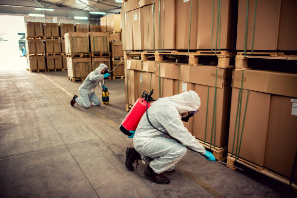 Best Best Pest Control Companies  in Rowland Heights, CA