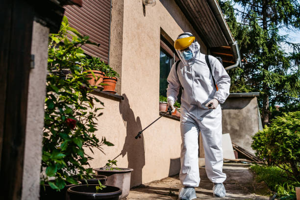 Best Wasp Removal Services  in Rowland Heights, CA