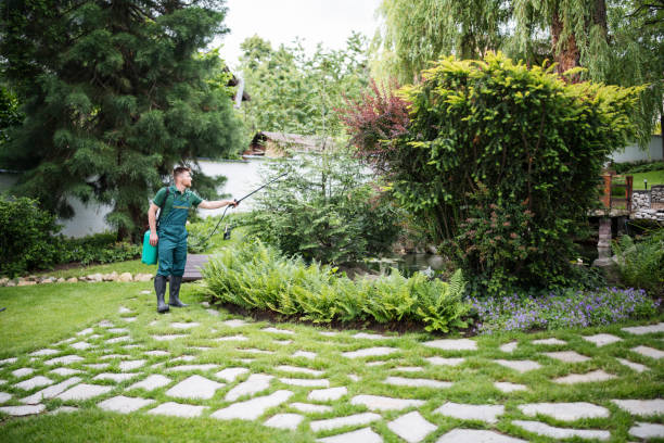 Best Affordable Pest Control Services  in Rowland Heights, CA