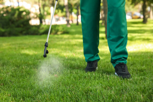 Best Cockroach Control Services  in Rowland Heights, CA