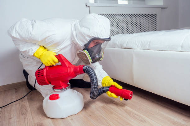 Best Exterminator Services  in Rowland Heights, CA