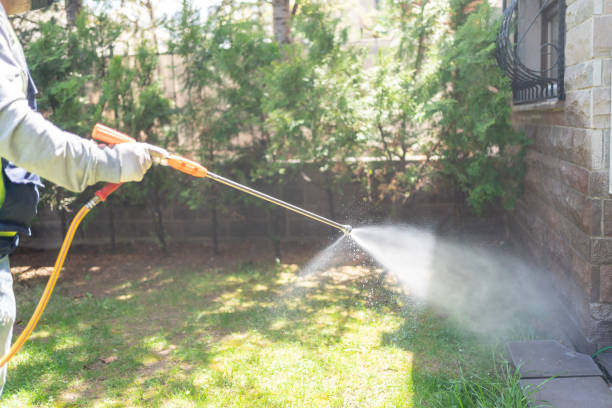Best Pest Control Near Me  in Rowland Heights, CA
