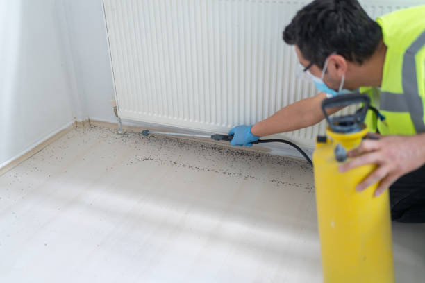 Best Wildlife Control Services  in Rowland Heights, CA