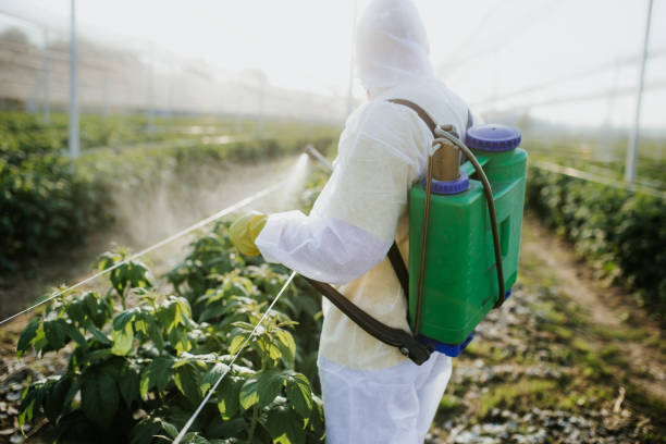 Rowland Heights, CA Pest Control Company